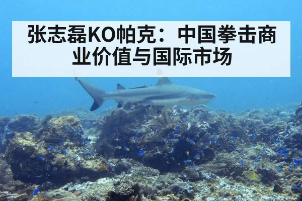 张志磊KO帕克：中国拳击商业价值与国际市场